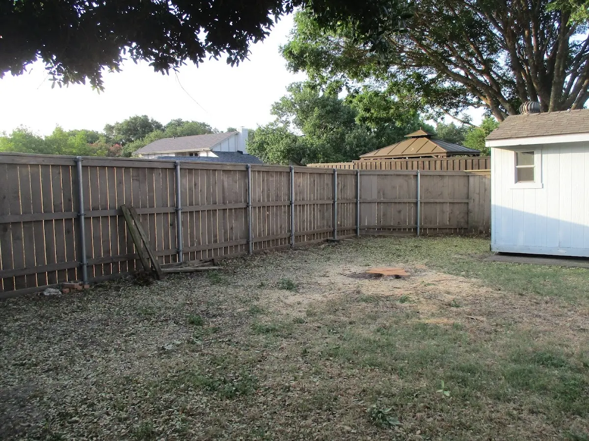Cleared yard after professional tree removal in Connelly