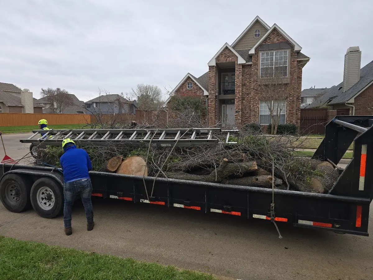 Expert Tree Fertilization with proper safety equipment in Connelly